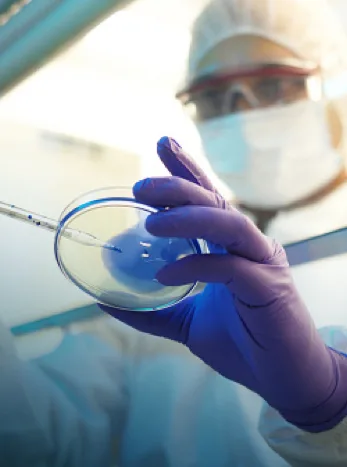 Steroegene Biosperations brand and website